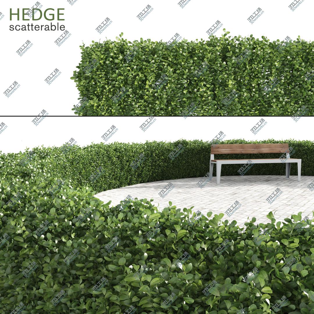 images/goods_img/20210113/Scatterable Hedges Collection/5.jpg